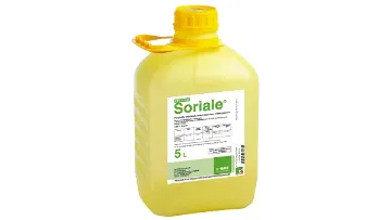 basf soriale